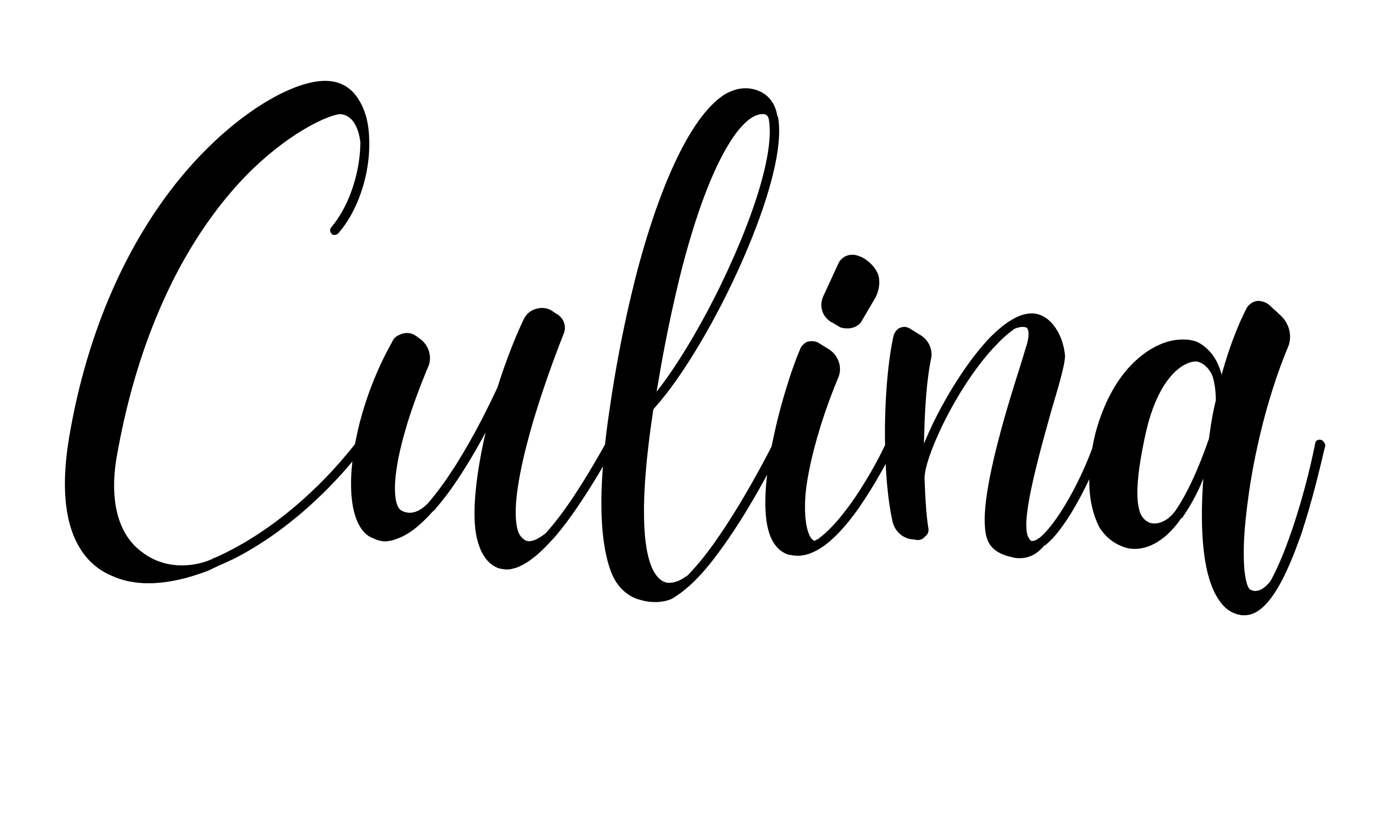 Logo of Culina with text beneath reading 'culina' in stylized lowercase letters.