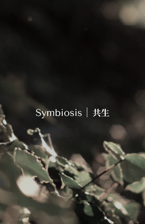 masr-symbiosis