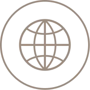 globe icon