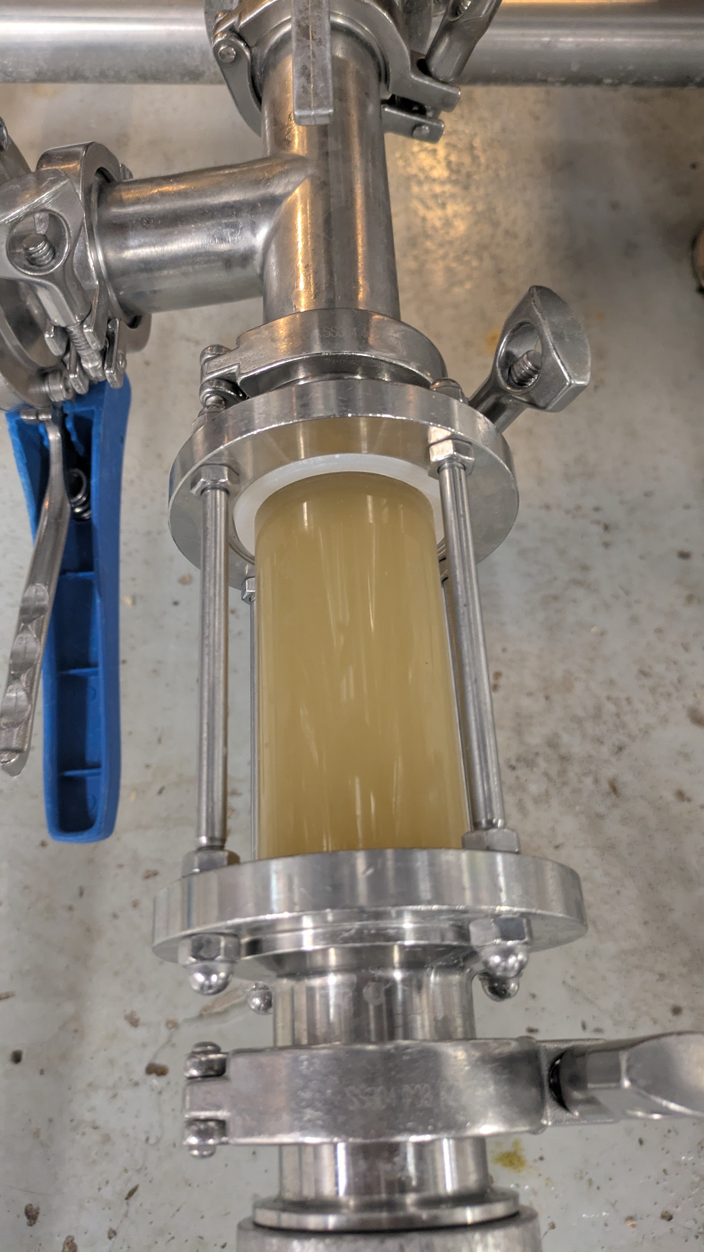 Close-up of stainless steel pipe with clamp and viewing window containing beige liquid inside.