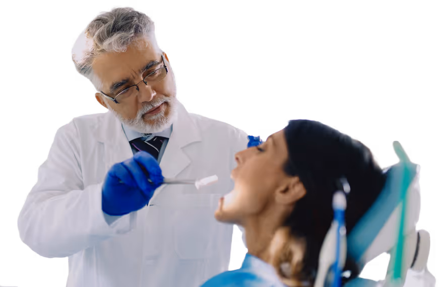 Dentist showing a dental model to a female patient during a consultation.
