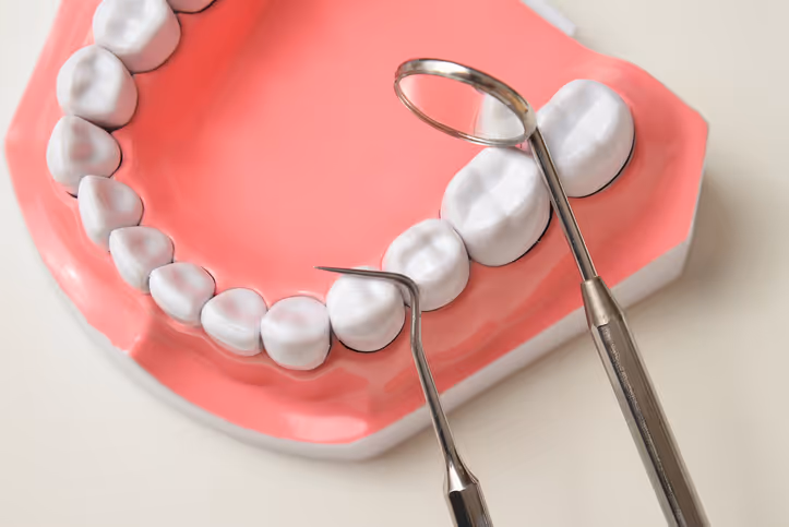 Dental model showing teeth with two dental tools, a dental explorer and a mouth mirror, placed on it.