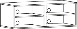 Model 221