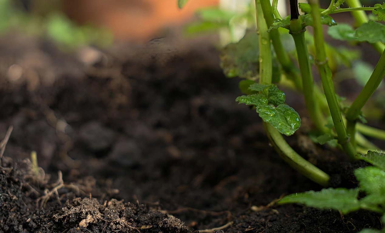 Composting solutions