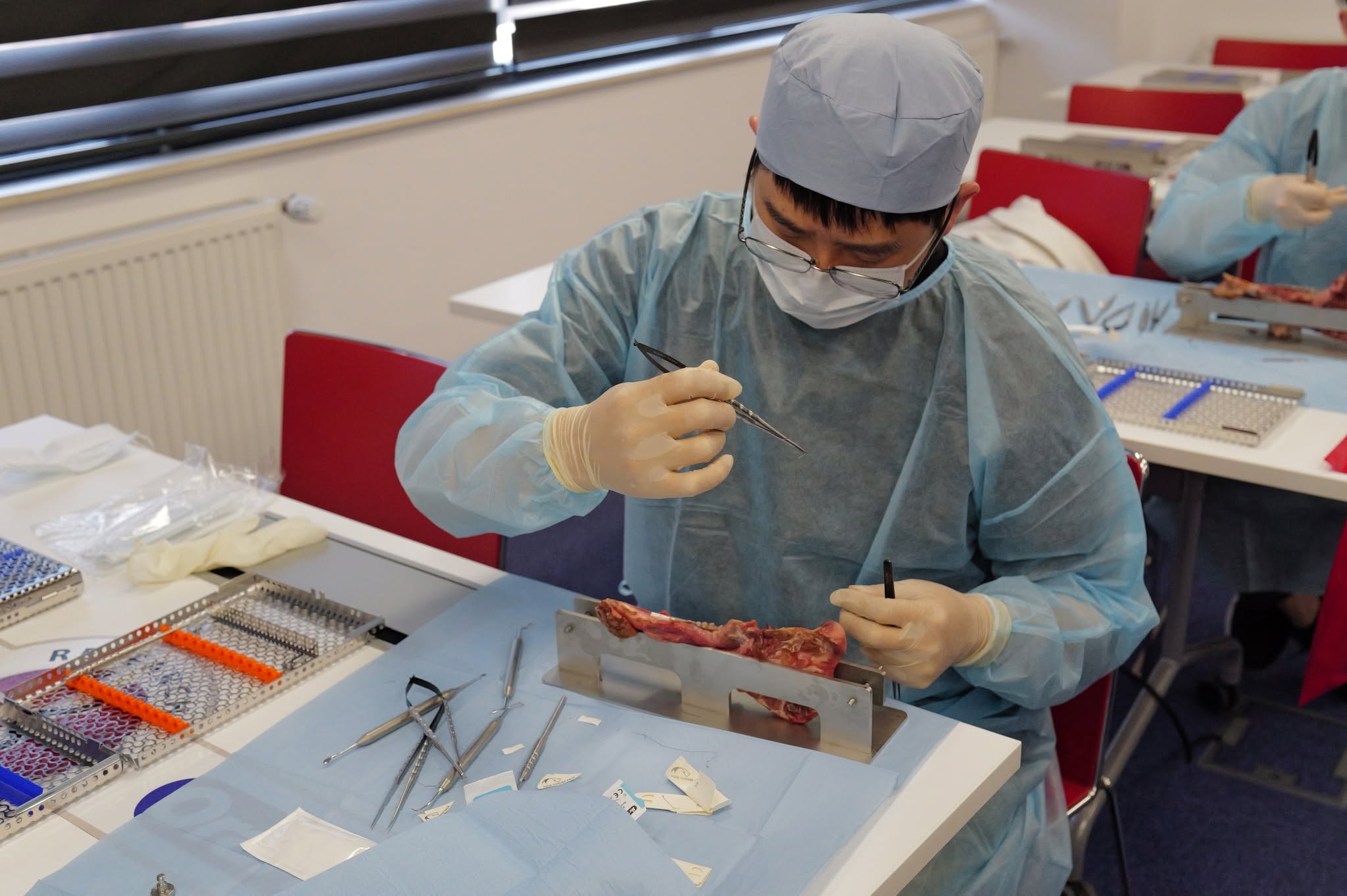 2025 AMS Dr. Marius Steigmann Module 5: The Romania Experience