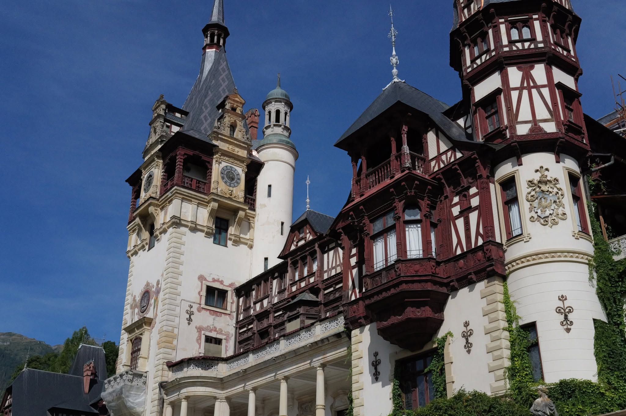 2025 AMS Dr. Marius Steigmann Module 5: The Romania Experience