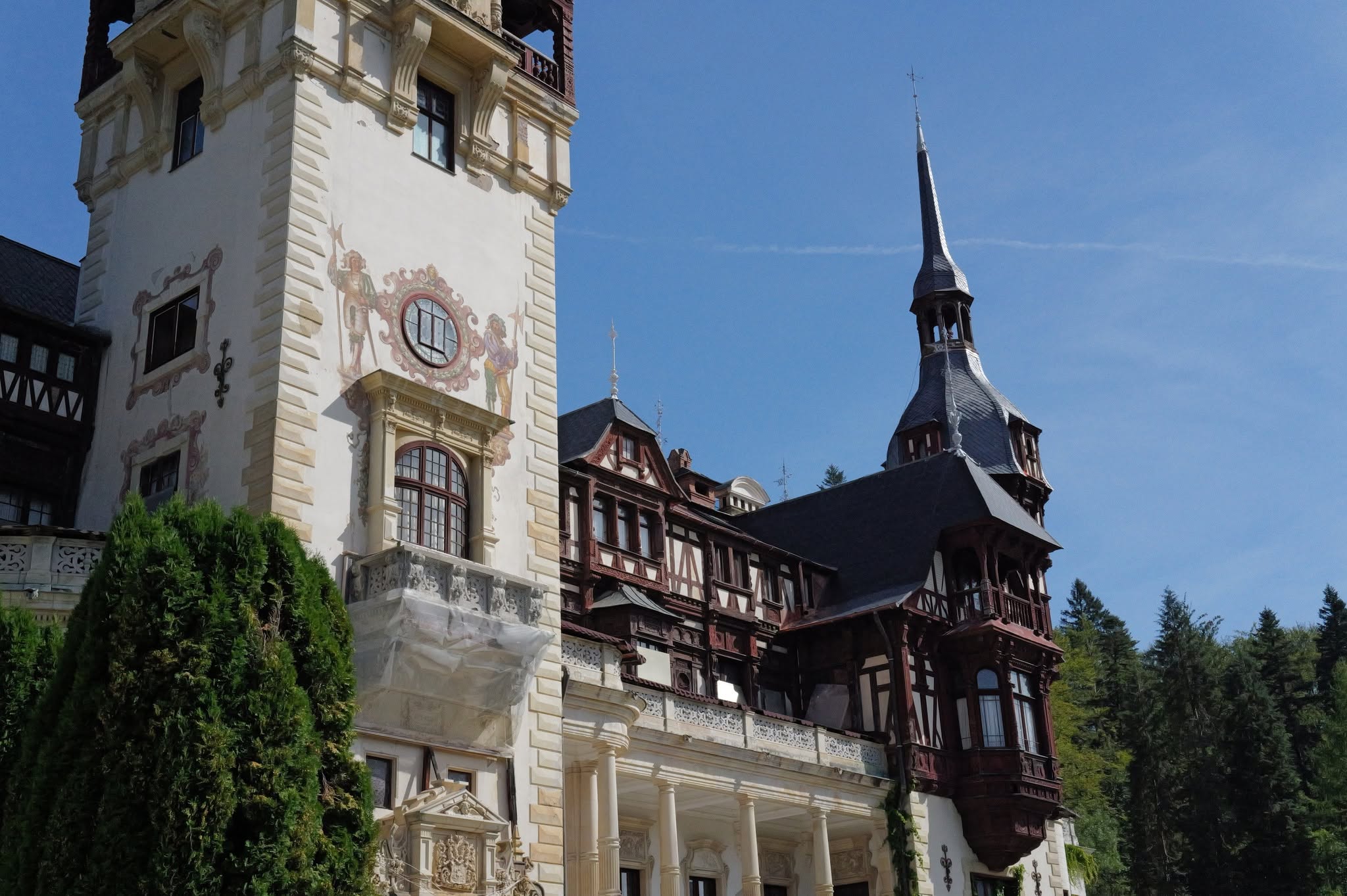 2025 AMS Dr. Marius Steigmann Module 5: The Romania Experience