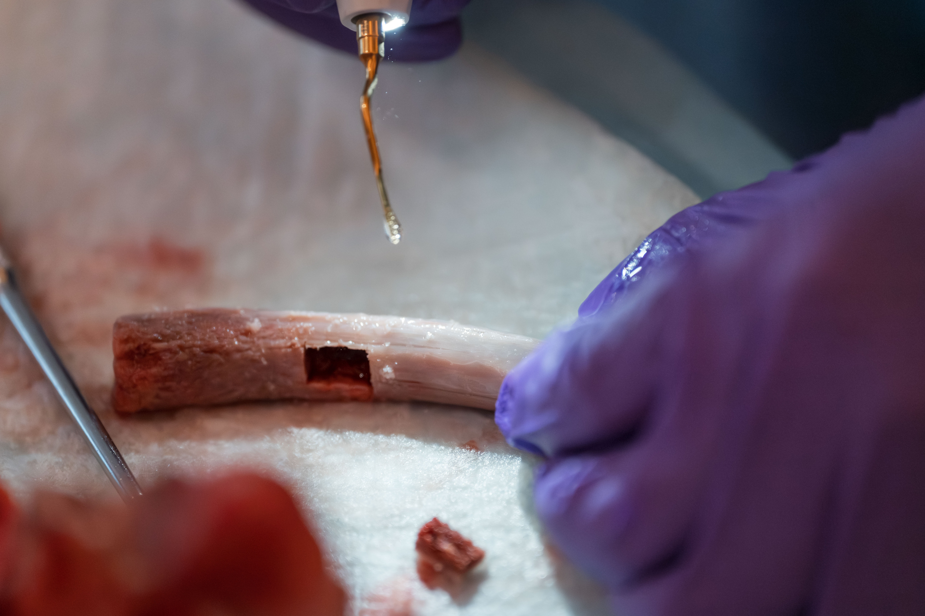2025 AMS Prof. Mauro Labanca Mectron Hands-On