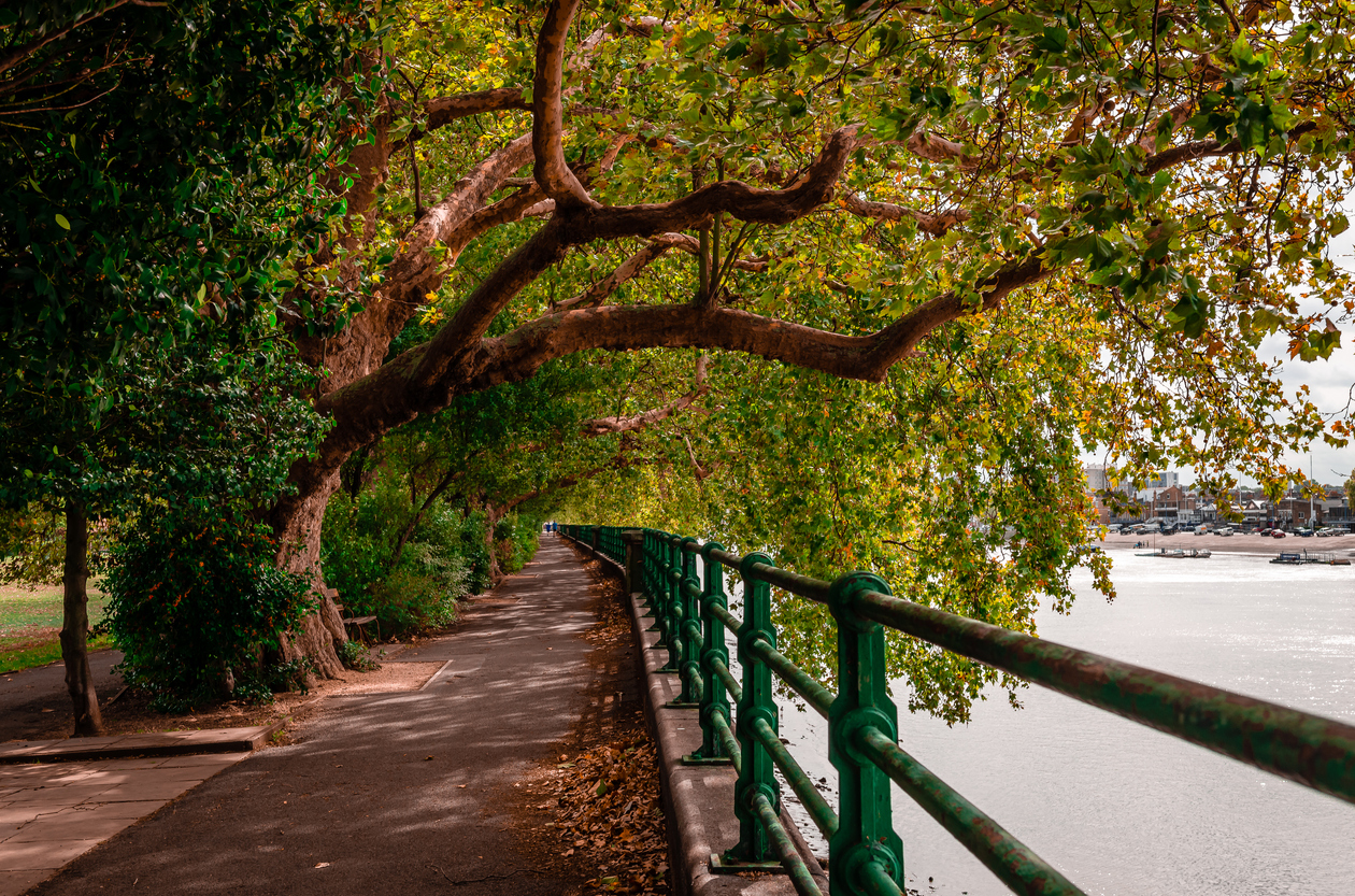 Fulham Palace parkrun