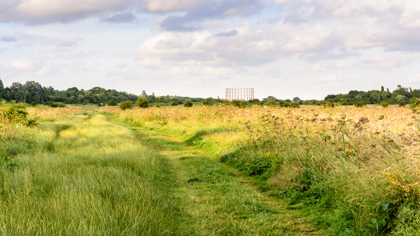Wormwood Scrubs Open Space
