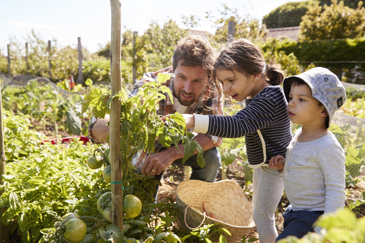 Hammersmith Community Gardens Association