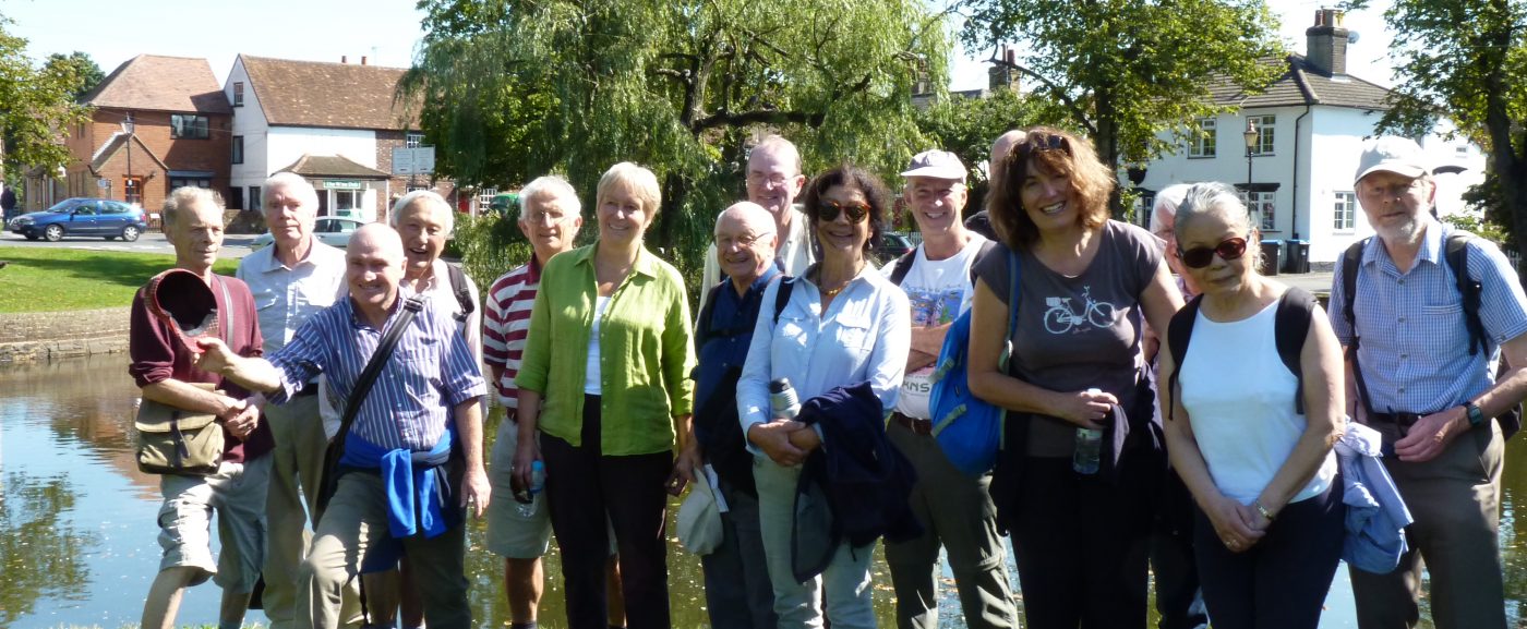 Forest Ramblers