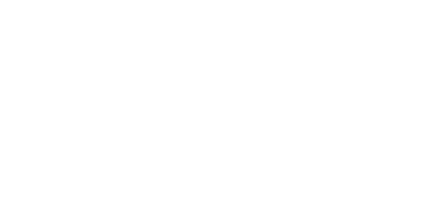 Logo 9