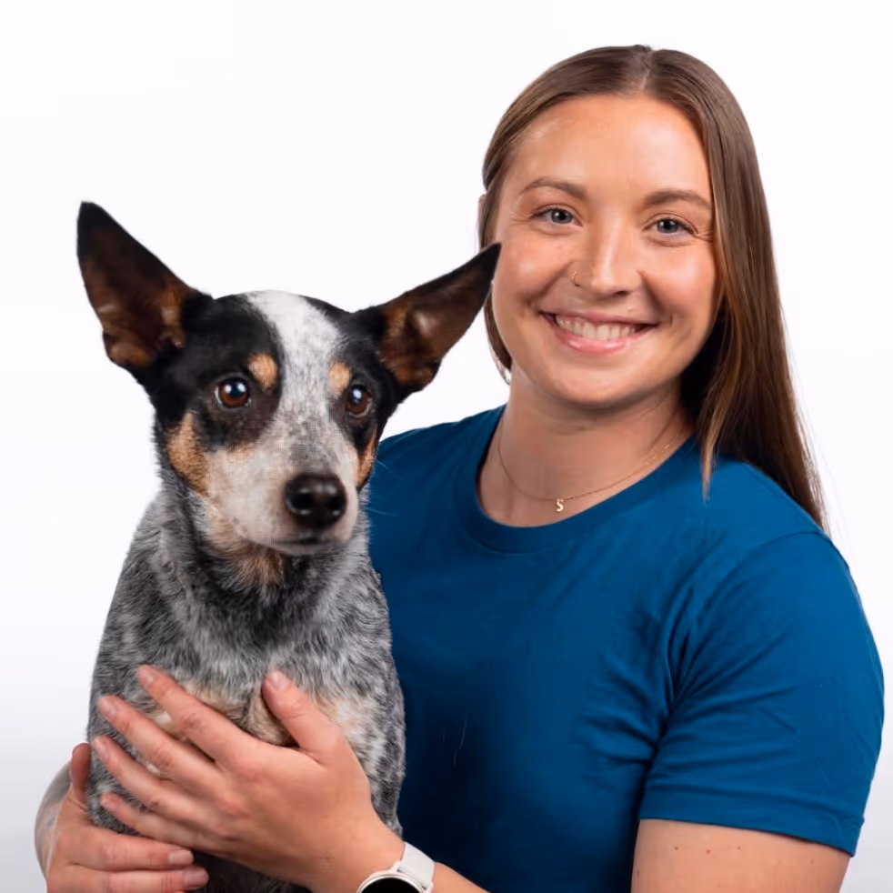 Smiling woman in blue shirt holding a black, white, and tan dog with large ears.