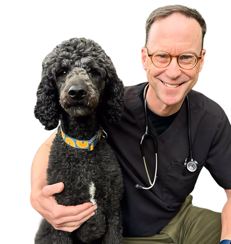 Smiling man in glasses and scrubs with stethoscope hugging a black curly-haired dog.