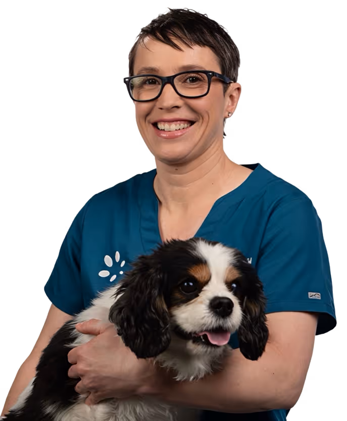 Smiling woman in glasses and teal scrubs holding a happy black, white, and tan dog.