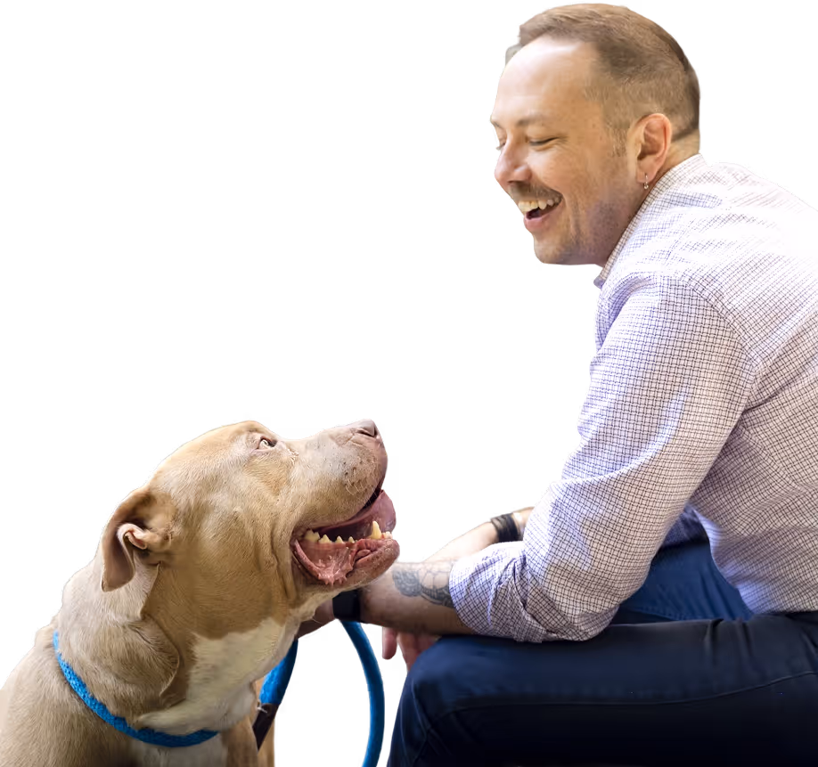 Man smiling and leaning forward looking at a happy dog wearing a blue collar.