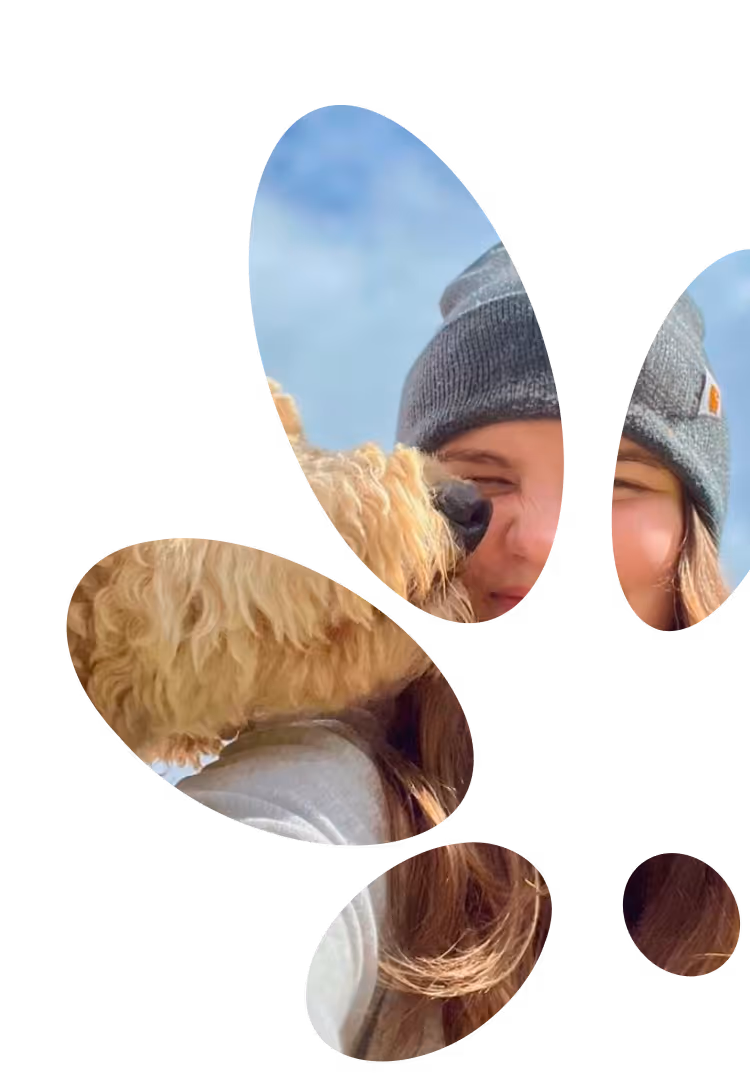 Curly-haired dog licking a smiling person wearing a black beanie against a blue sky.