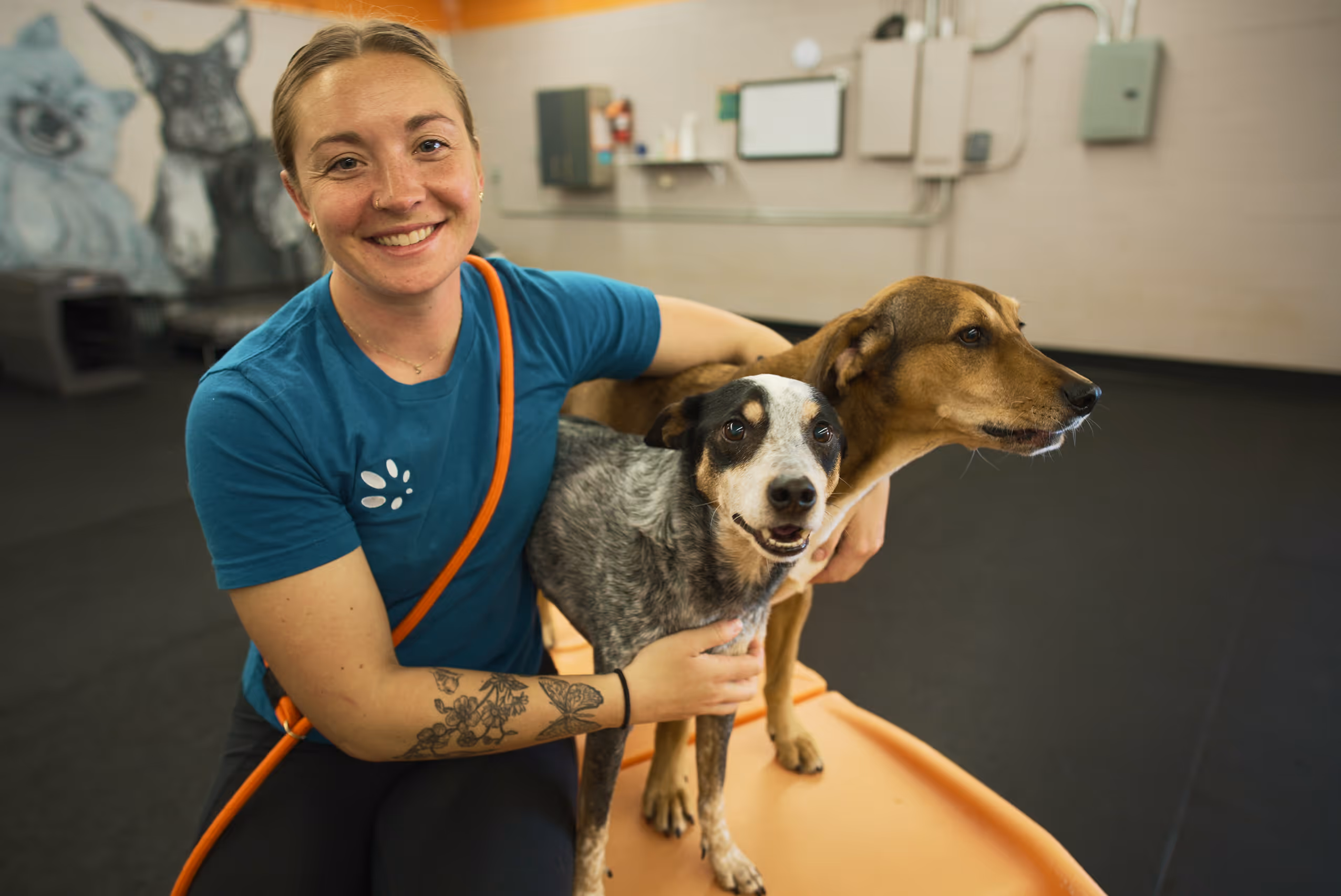Smiling woman in blue shirt hugging two dogs on an orange platform indoors.
