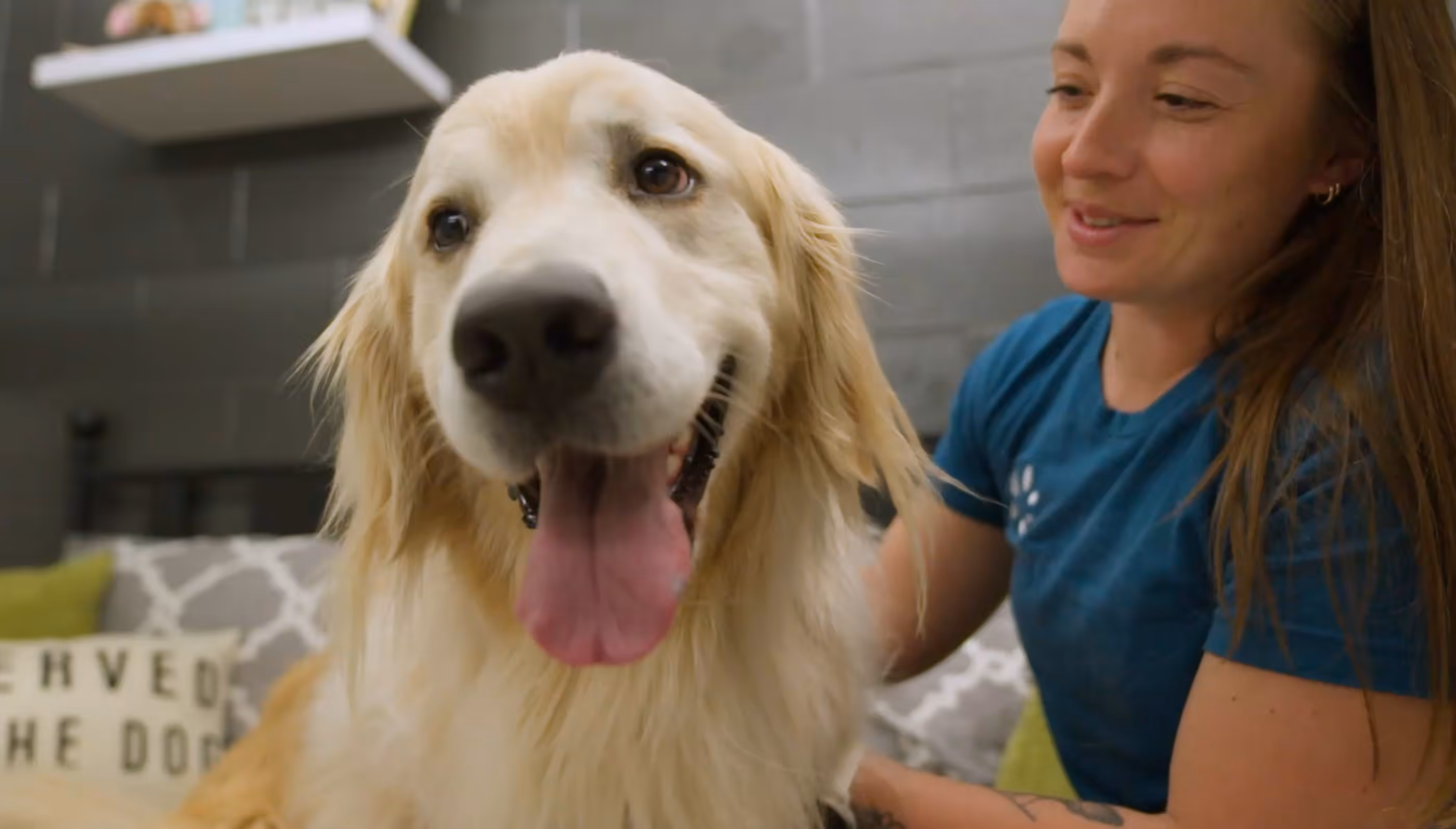Golden retriever with tongue out sitting happily beside a smiling woman in a blue shirt.