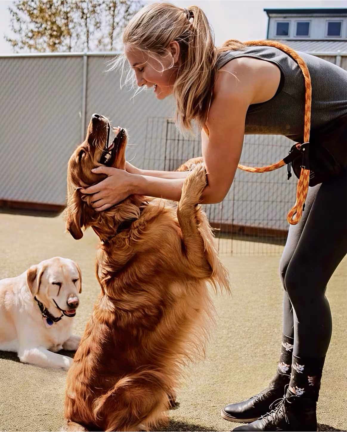 Woman smiling and playing with a sitting golden retriever while another dog rests nearby outdoors.