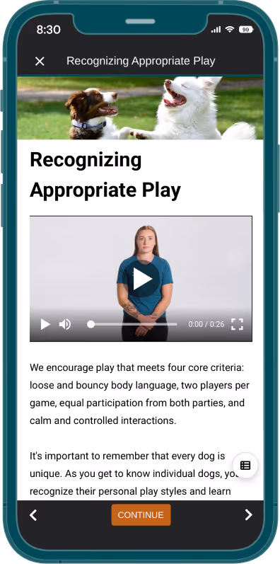 Mobile screen showing a dog training lesson titled 'Recognizing Appropriate Play' with a video and text on play criteria.