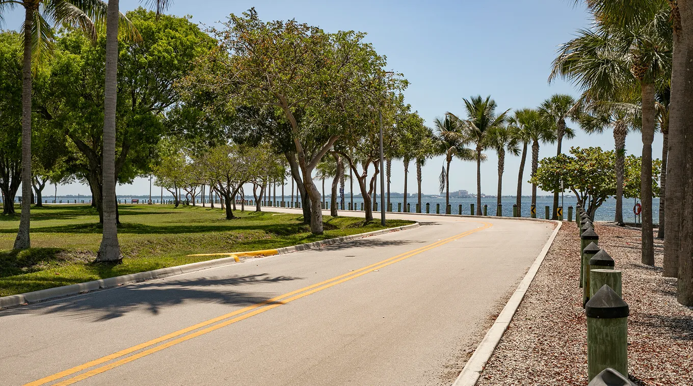 Curved paved road lined with palm trees and other trees on both sides, leading towards a body of water under a clear blue sky.