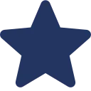Solid navy blue star icon.