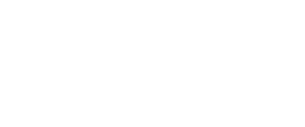 Techoo logo white