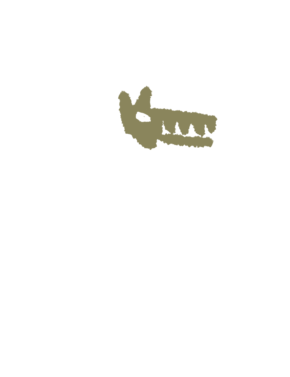 Illustration of a stylized brownish-beige head of wolf.