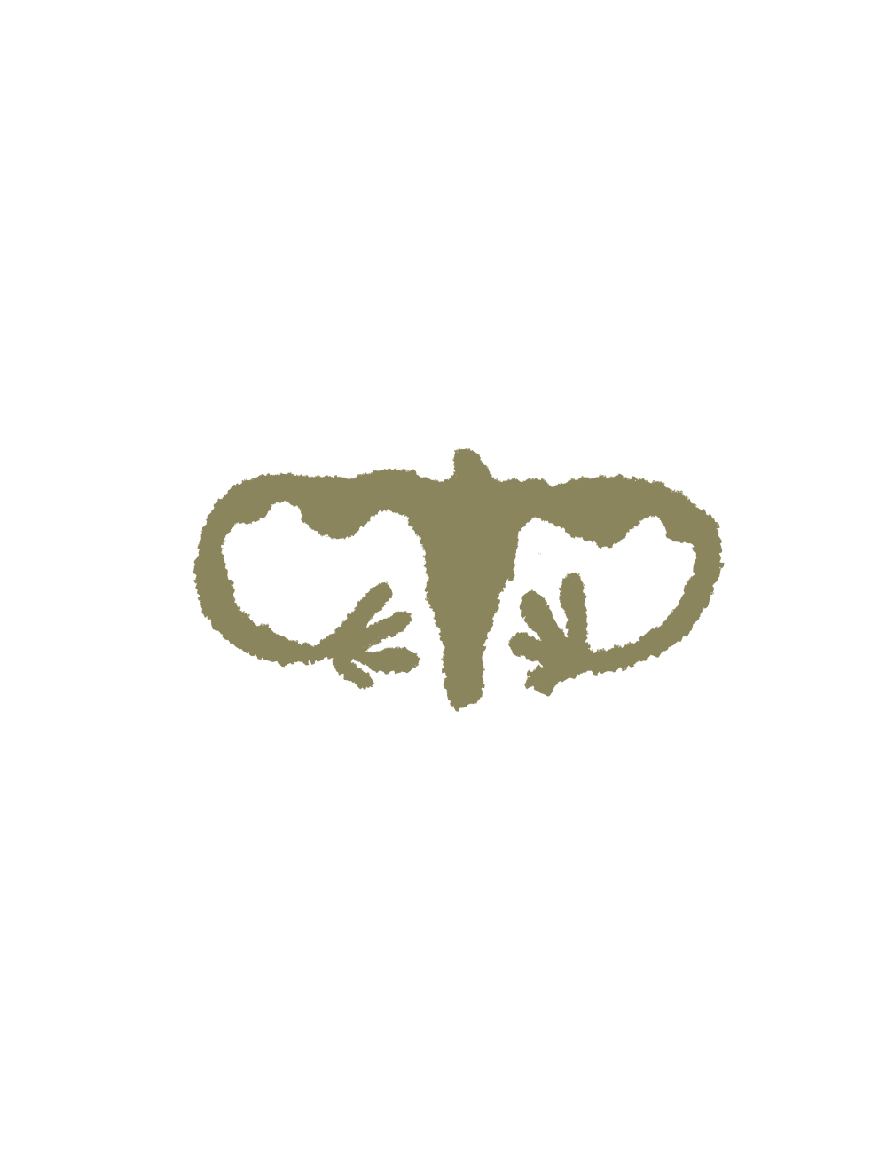 Illustration of a stylized brownish-beige body of wolf.