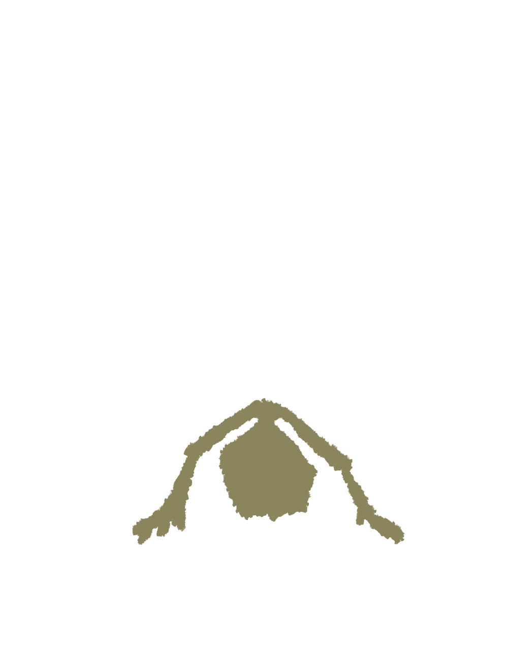 Illustration of a stylized brownish-beige legs of ant.