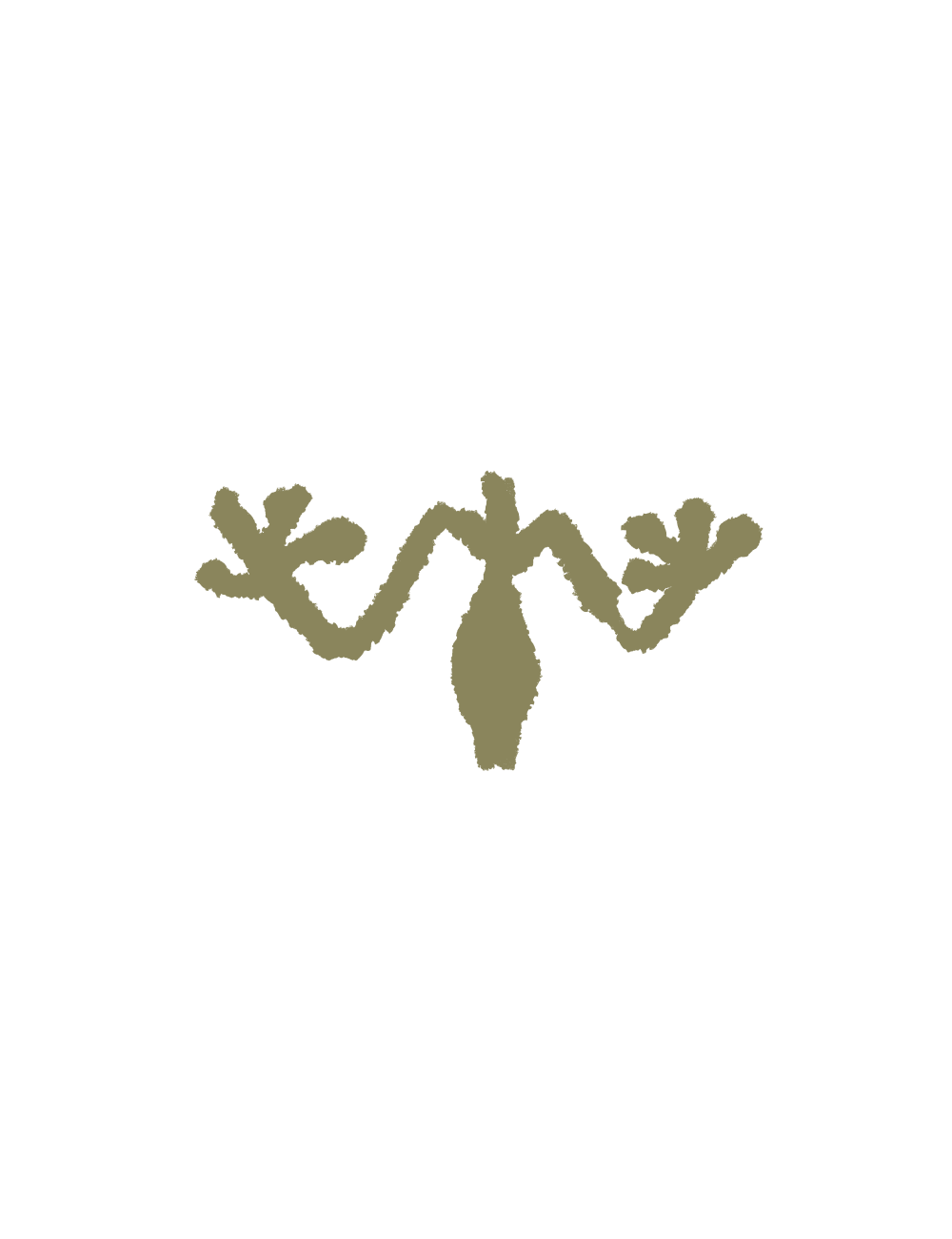 Illustration of a stylized brownish-beige body of frog.
