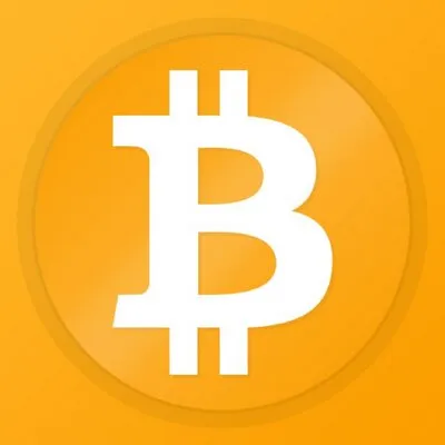Bitcoin Logo