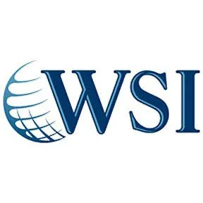 WSI Logo