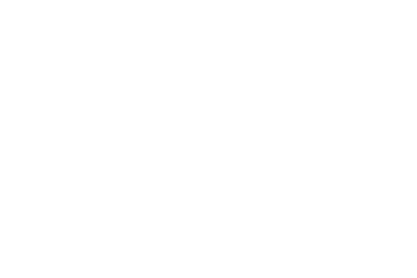 Pulse Point Marketing Logo