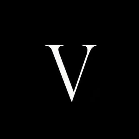VMGROUPE Logo