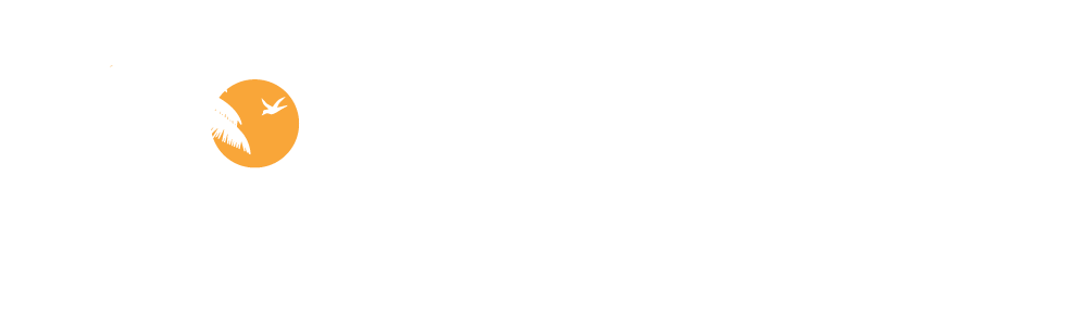 San Diego Interactive Logo