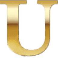 Bulldog Solutions Logo