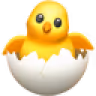 Petit poussin jaune sortant d'un œuf blanc cassé.