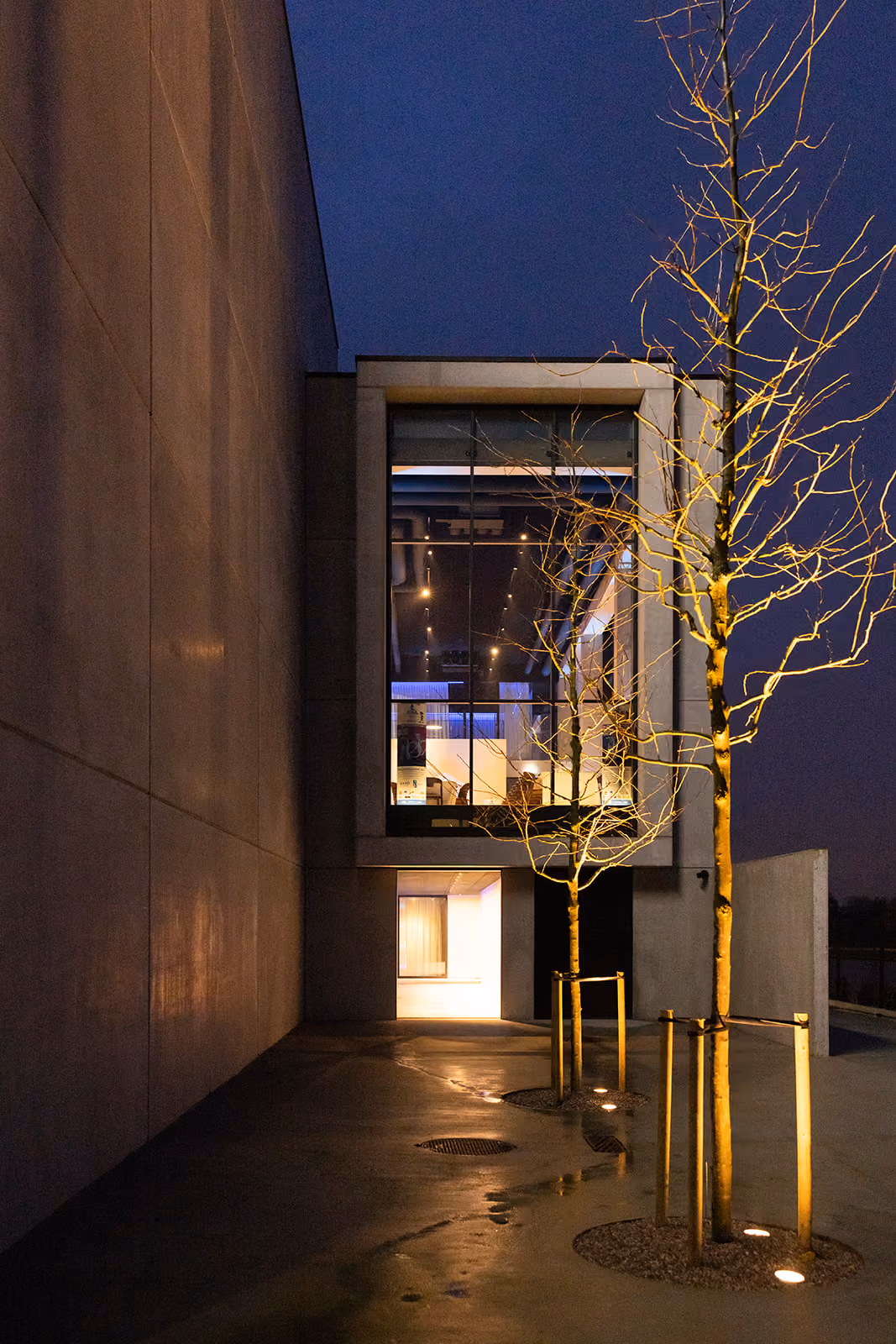 Moderne gebouwgevel 's avonds met grote ramen, verlichte bomen en reflecties op natte stoep.