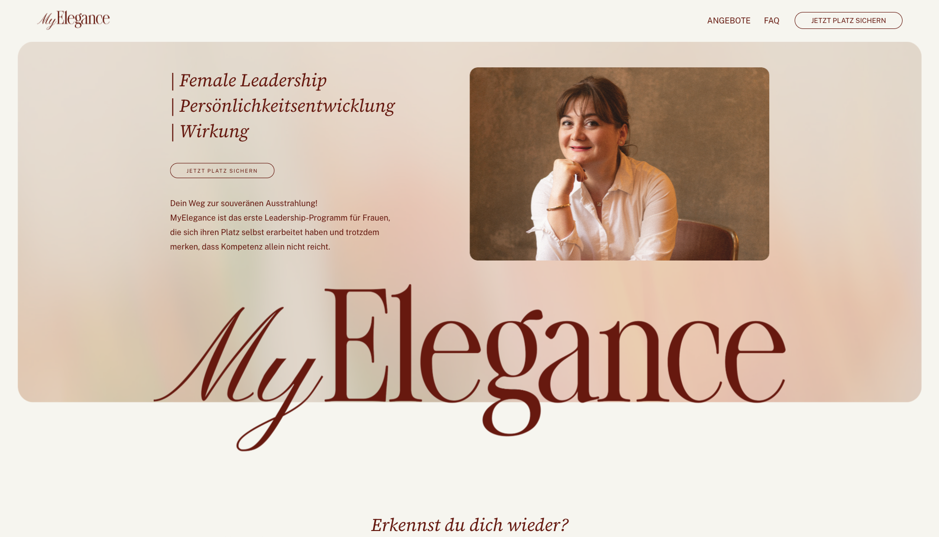 Screenshot of the project's website