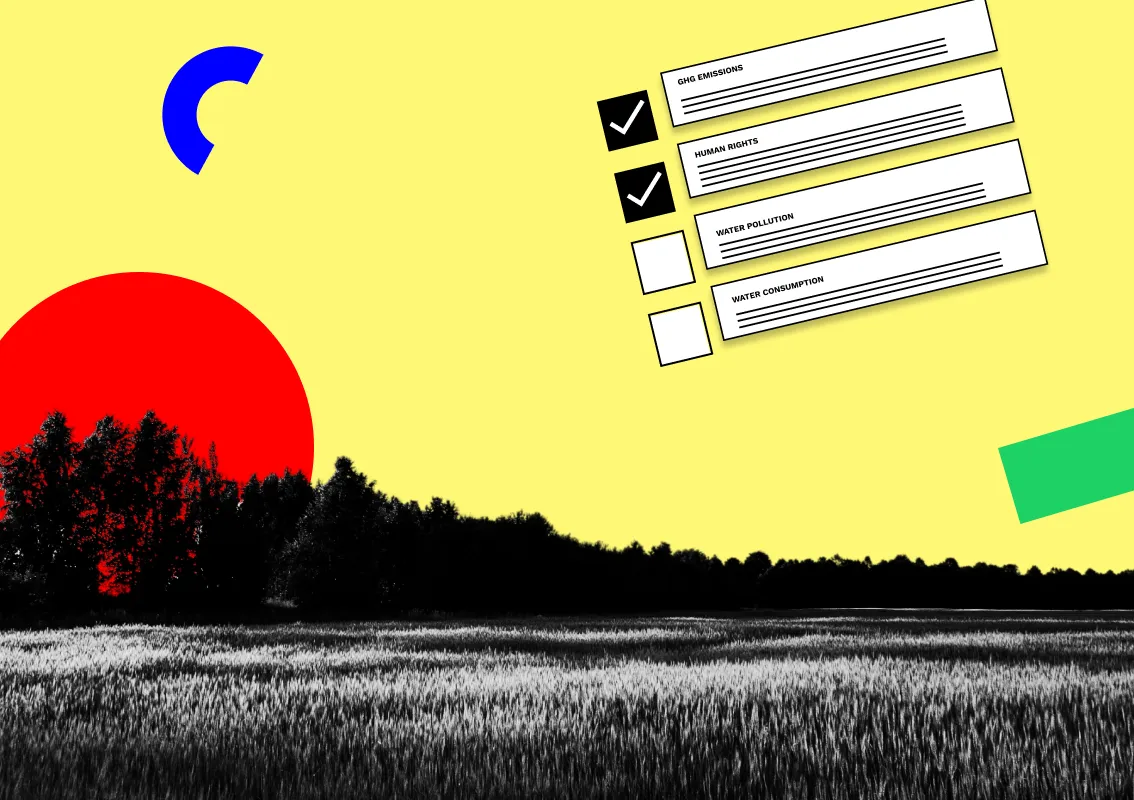 Checks and balances: What goes into auditing sustainability materiality?