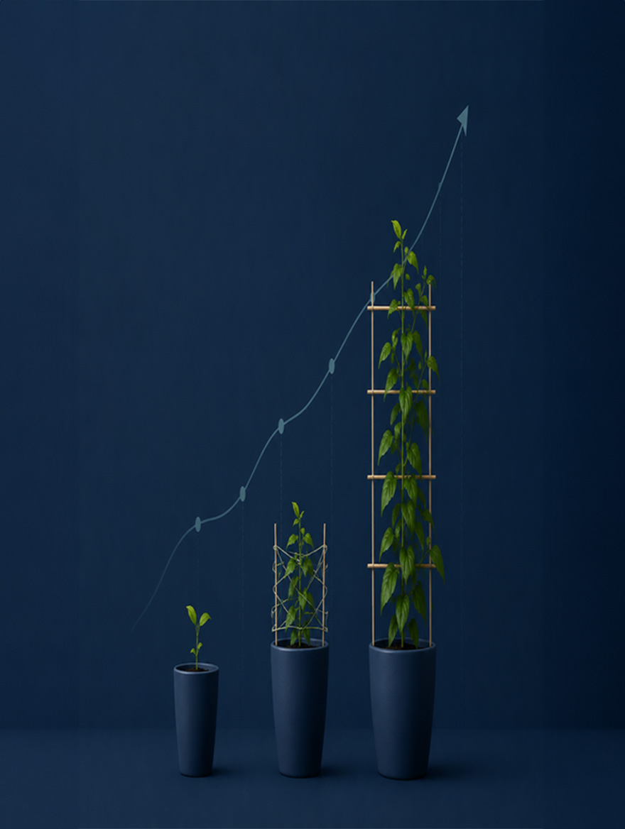 Plants gradually growing conveying the notion of nurturing your finances