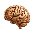 brain icon