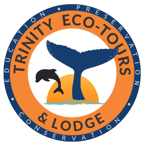 Trinity Eco-Tours Logo