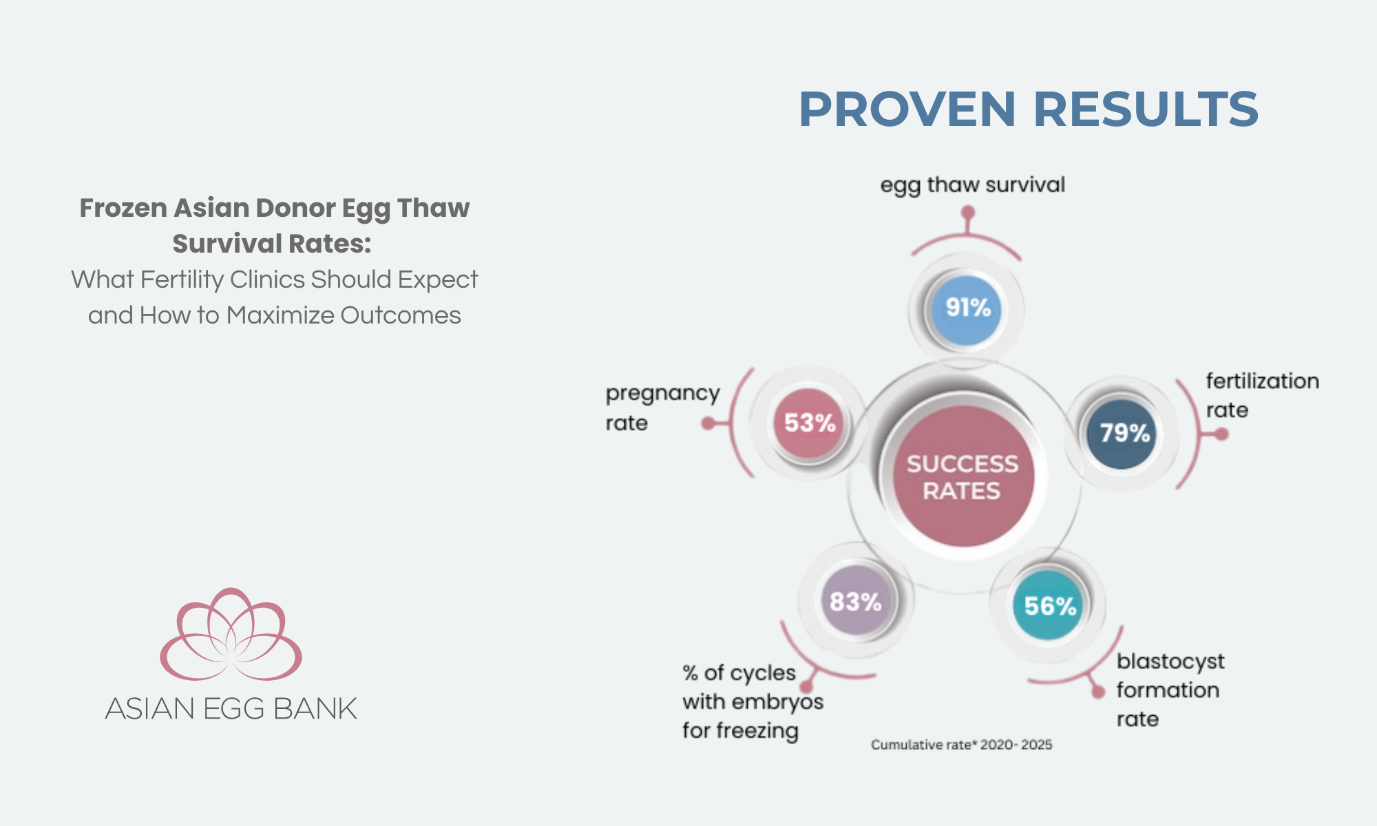 Fertility clinician reviewing frozen Asian donor egg thaw survival rate data
