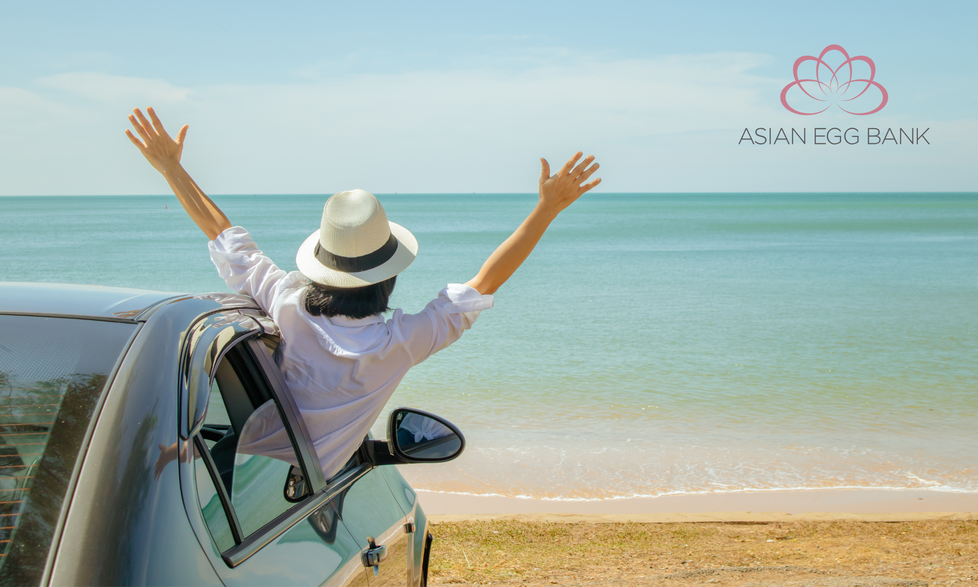 Asian egg donor process in California — Asian Egg Bank
