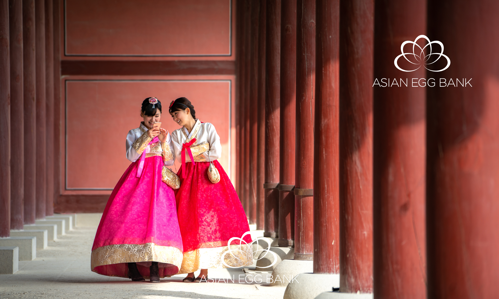 Korean egg donors at Asian Egg Bank