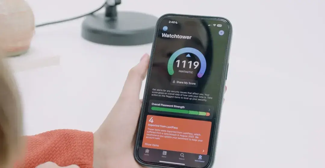 1Password iOS Mobile Watchtower View